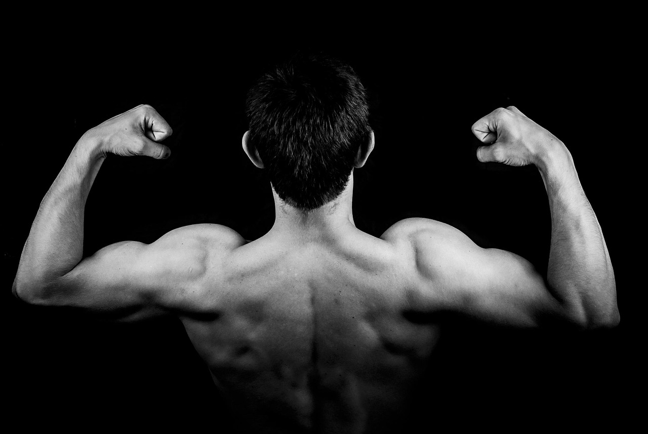 Ectomorphe musclé image Image montrant un Ectomorphe musclé